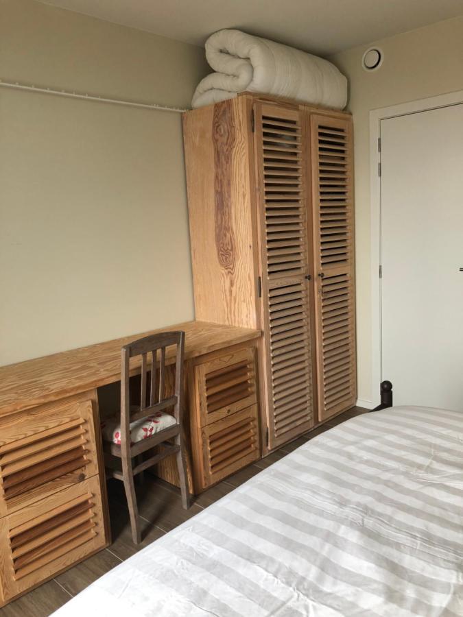 Residentie Zeezicht Apartment Eksel Ngoại thất bức ảnh